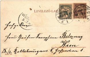 1902 A vén zászlótartó. Petőfi Dalai. Magyar folklór művészlap, Serie 826. / Hungarian folklore art ...