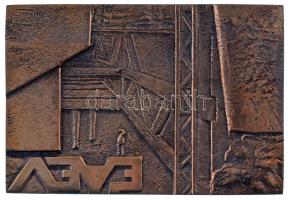DN Észak-magyarországi Állami Építőipari Vállalat "ÉÁÉV" egyoldalas, öntött bronz plakett. Szign.: "SZP" (83,5x123mm) T:AU