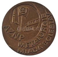 Csehszlovákia 1986. "53. Mezinárodni Slévárenský Kongres ČSSR / AZNP Metalurgie Mladá Boleslav (53. Nemzetközi Öntödei Kongresszus, Csehszlovák Szocialista Köztársaság / AZNP Vasöntöde Mladá Boleslav)" öntött bronz emlékérem. (65mm) T:XF Czechoslovakia 1986. "53. Mezinárodni Slévárenský Kongres ČSSR / AZNP Metalurgie Mladá Boleslav (53. International Foundry Congress, Czechoslovak Socialist Republic / AZNP Metallurgy Mladá Boleslav)" cast bronze commemorative medal. (65mm) C:XF