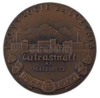 Csehzlovákia 1965. "120 výročie založena Tatrasmalt n.p. Matejovce 1845-1965 (A Tatrasmalt Matejovce alapításának 120. évfordulója 1845-1965)" bronz emlékérem (60mm) T:XF Czechoslovakia 1965. "120 výročie založena Tatrasmalt n.p. Matejovce 1845-1965 (120th anniversary of the founding of Tatrasmalt Matejovce 1845-1965)" bronze commemorative medallion (60mm) C:XF
