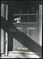 Seiden Gusztáv (1900-1992: Téli napsugár, utólagos előhívás, hátoldalon feliratozva, 18×13 cm