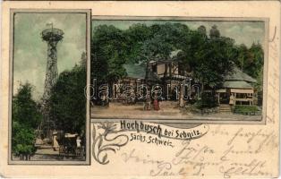 1905 Sebnitz, Hochbusch bei Sebnitz, restaurant, lookout tower. Art Nouveau, floral (EK)