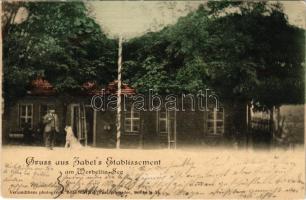 1903 Werbellinsee, Gruss aus Zabel's Etablissement am Werbellin-See / restaurant, inn (surface ...