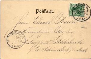 1903 Werbellinsee, Gruss aus Zabel's Etablissement am Werbellin-See / restaurant, inn (surface ...
