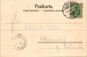 1903 Olbernhau, Rothenthal. Clement's Gasthof, Eingang ins Töltschtal / inn, general view, enta...