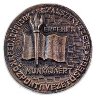 1990. "Pedagógusok Szakszervezete - Központi Vezetősége - Érdemes Munkájáért" öntött bronz emlékérem hátoldalon "Uzsoki Antalnak 1990." rátéttel (86mm) T:AU
