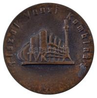 1972. "Tiszai Vegyi Kombinát" egyoldalas, öntött bronz emlékérem, hátoldalon "MTESZ Leninváros 1972" gravírozással (67mm) T:AU