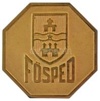 DN "FŐSPED / Fővárosi Szállítási Vállalat 20 éves törzsgárda tagságáért" aranyozott bronz plakett (56x56mm) T:AU