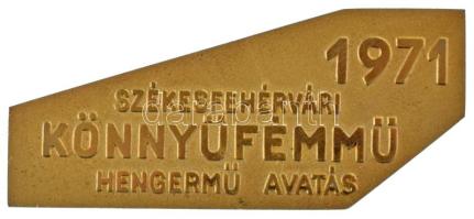 1971. "Székesfehérvári Könnyűfémmű hengermű avatás" kétoldalas, műgyantás fém plakett, ere...