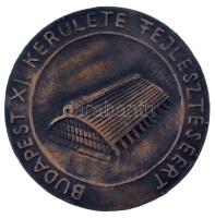 DN "Budapest XI. kerülete fejlesztéséért" egyoldalas, öntött bronz emlékérem (70mm) T:XF