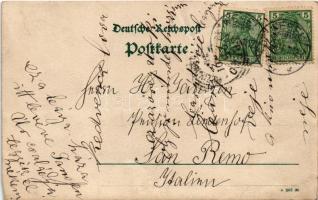 1901 Wesel, horse-drawn carriage with ladies and dogs. photo (cut)