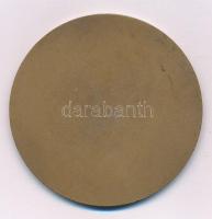 DN "Szent László - Budapest" egyoldalas bronz emlékérem (60mm) T:AU