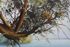 Hunyady Gábor (1969- ): Öreg fűz. Olaj vászon. Jelzett. Fakeretben. 60x80 cm