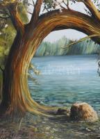 Hunyady Gábor (1969- ): Öreg fűz. Olaj vászon. Jelzett. Fakeretben. 60x80 cm