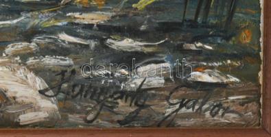 Hunyady Gábor (1969- ): Öreg fűz. Olaj vászon. Jelzett. Fakeretben. 60x80 cm