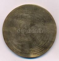 1971. "Vízvédelem 1961-71" egyoldalas bronz emlékérem, hátoldalán alig látható gravírozáss...