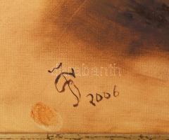 Olvashatatlan jelzéssel: Küldetés II. Olaj vászon. Sérült. Fakeretben. 60x50 cm