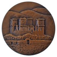 Varga Miklós (1928- ) DN "Miskolcért / Diósgyőri vár" kétoldalas bronz emlékérem, a kisebb kiadás, szignó nélkül (70mm) T:AU