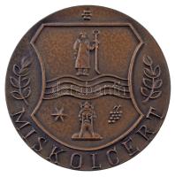 Varga Miklós (1928- ) DN "Miskolcért / Diósgyőri vár" kétoldalas bronz emlékérem, a kisebb...