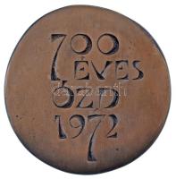 1972. "1272 / 700 éves Ózd 1972" bronz emlékérem (96mm) T:XF