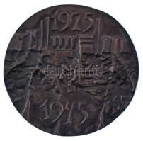1975. "1945-1975 / Lenin Kohászati Művek Diósgyőr" bronz emlékérem (~88mm) T:XF patina