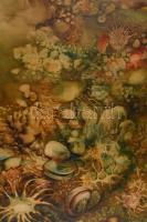 Máriási Masznyik Iván (1928-1997): Tenger mélyén. Olaj, farost, jelezve jobbra lent, hátoldalon Mári...