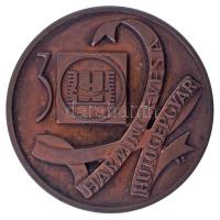 1982. "30 éves a Hűtőgépgyár / Lehel 1952-1982" kétoldalas bronz emlékérem (49mm) T:AU