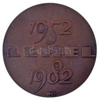 1982. "30 éves a Hűtőgépgyár / Lehel 1952-1982" kétoldalas bronz emlékérem (49mm) T:AU