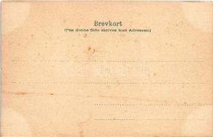 Norsk Brudefolge / Norwegian wedding group, folklore (small tear)