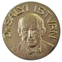 1983. "Dr. Sályi István / Magyar Mechanikai Konferencia - Gépész Évfolyamok Találkozója - NME - 1983.08.24-27" aranyozott Al emlékérem (50mm) T:AU