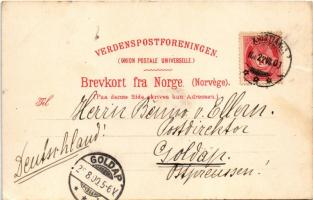 1900 Laerdalsoyri, Laerdalsören, Laerdal; seashore, litho (small tear)