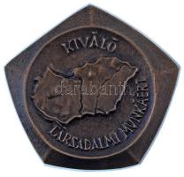 1970 k. "Kiváló Társadalmi Munkáért" egyoldalas bronz emlékplakett (90x85mm) T:XF