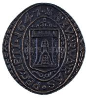 1970 k. "Peczeti 1641 - Sárvárváras" egyoldalas bronz emlékplakett (62x74mm) T:XF