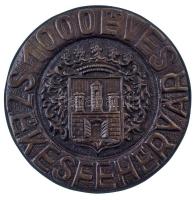 1972. "1000 éves Székesfehérvár" egyoldalas, öntött bronz emlékérem T:AU