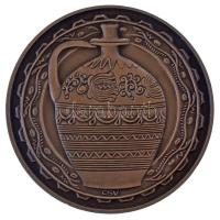 Csucs Viktória (1934-1993) DN "Hódmezővásárhely Tanácsháza" kétoldalas bronz emlékérem (60...