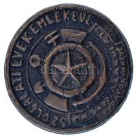 DN "Szolgálati évek emlékéül - MH 5432. alakulat (Központi Műszaki Anyagraktár) - Budafok-Háros" egyoldalas, öntött bronz plakett (~109mm) T:XF