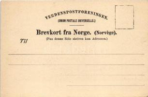 Trondheim, Trondhejm; Lerfossen / hydroelectric power station, waterfall, dam at night in moonlight