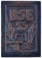 1988. "BSE 75 (Budapesti Sportegyesület)" bronz emlékplakett (64x88mm) T:XF