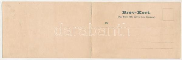 Oslo, Christiania, Kristiania; 2-tiled folding panoramacard (r)