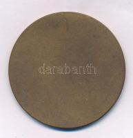 1975. "Spartacus Szövetkezeti Sportversenyek 1975" bronz emlékérem (50mm) T:AU