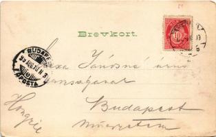 1899 Oslo, Christiania, Kristiania; Bjaelkestue paa Frognersaeteren / log cabin (EM)