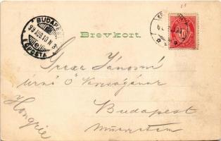 1899 Oslo, Christiania, Kristiania; Stavkirken og Staburet paa Bygdo / stave church (worn corners)