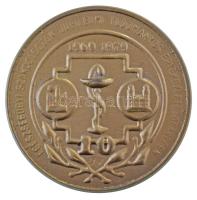 1979. "Egészségügyi Szakdolgozók Jubileumi Tudományos Értekezlete Debrecen 1969-1979" bronzozott, egyoldalas Al emlékérem (95mm) T:AU