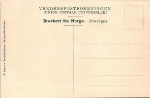 Stryn, Kjendalsbrae, Kjenndalsbreen / glacier (EK)