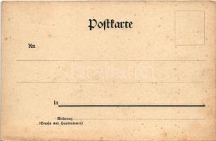 Allgäuer Alpen, Allgäu Alps; Gruss aus den Allgäuer Bergen. Die Mädelegabel vom Gletscher aus / moun...