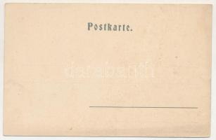 Allgäuer Alpen, Allgäu Alps; Gruss aus den Allgäuer Bergen. Das Nebelhornhaus von Norden / mountain ...