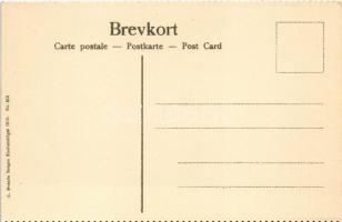 Myrdal, Bergensbanen. Den roterende Sneplog i Arbeide / Bergen Railway, rotating snowplow at work in...