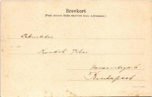 1903 Norge / Norway. Norwegian flag with Tordenskjold statue (fl)