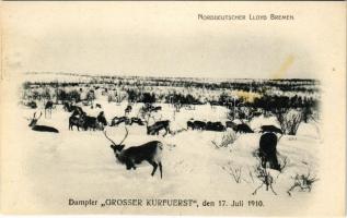 Norge, reindeer herd

Norddeutscher Lloyd Bremen, Dampfer "GROSSER KURFÜRST" den 17. Jul...