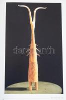 Kozák Csaba (szerk.): Samu Géza. A szerkesztő, Bp., 1999, Samu Géza Alapítvány. Gazdag képanyaggal i...